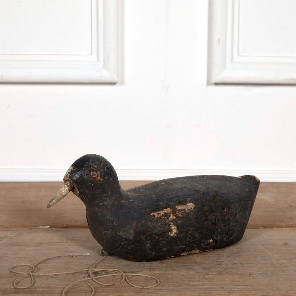 Antique Coot Decoy DA1561873