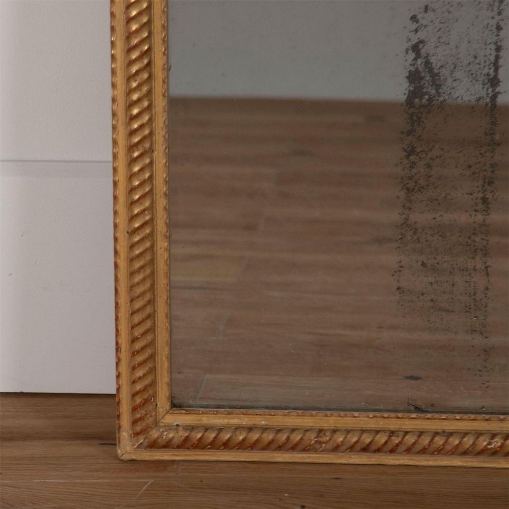Water Gilded Rope Twist Mirror MI7161449