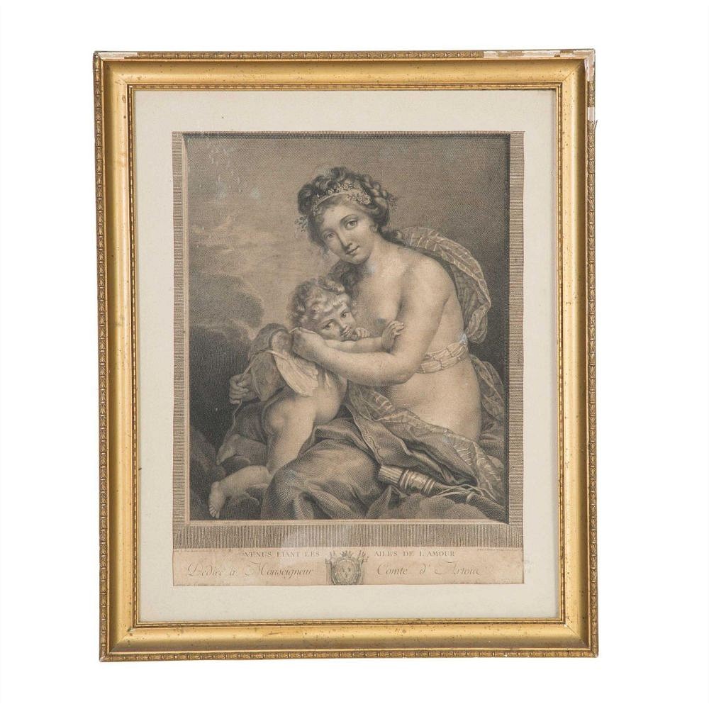 Framed Engraving WD5558045