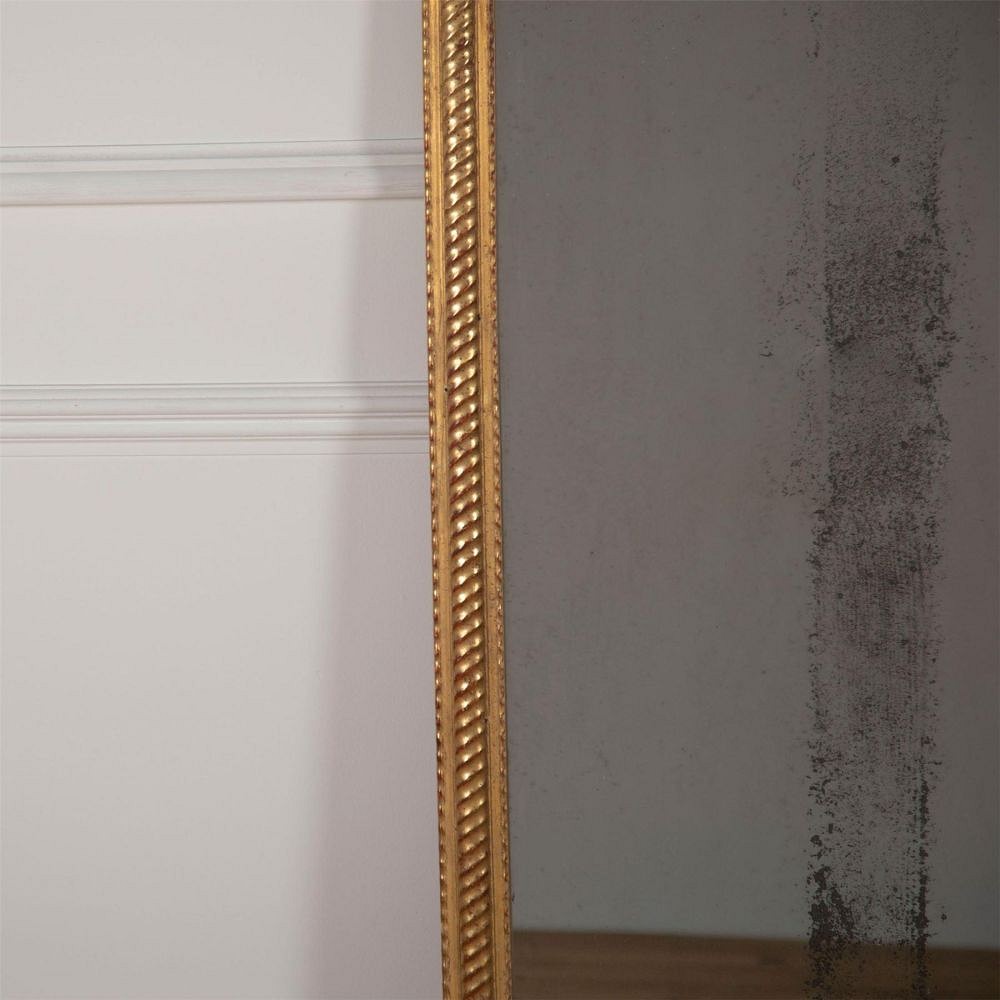 Water Gilded Rope Twist Mirror MI7161449