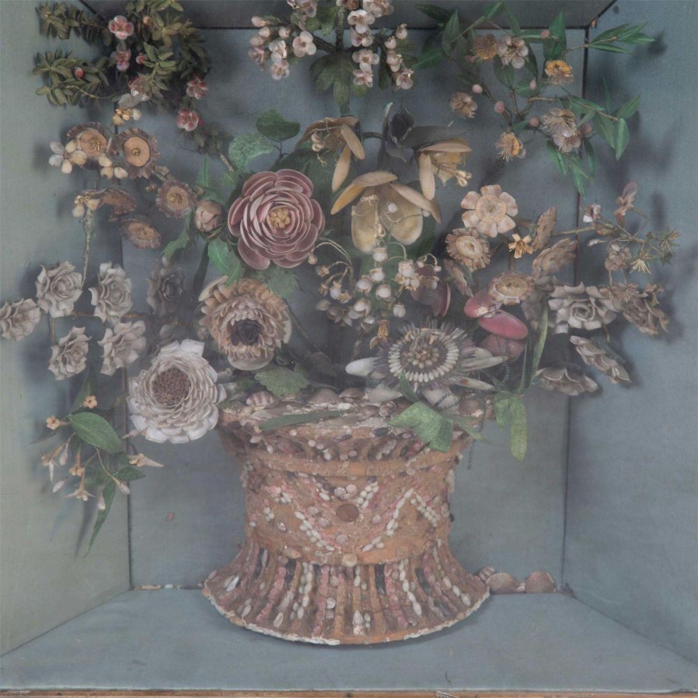 Framed Flower Display WD5557739