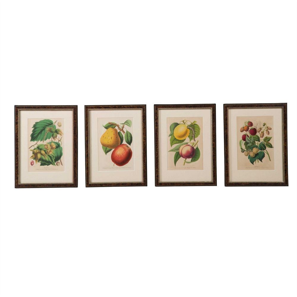 Set of 12 19th Century Fruit Chromolithographs WD6057548