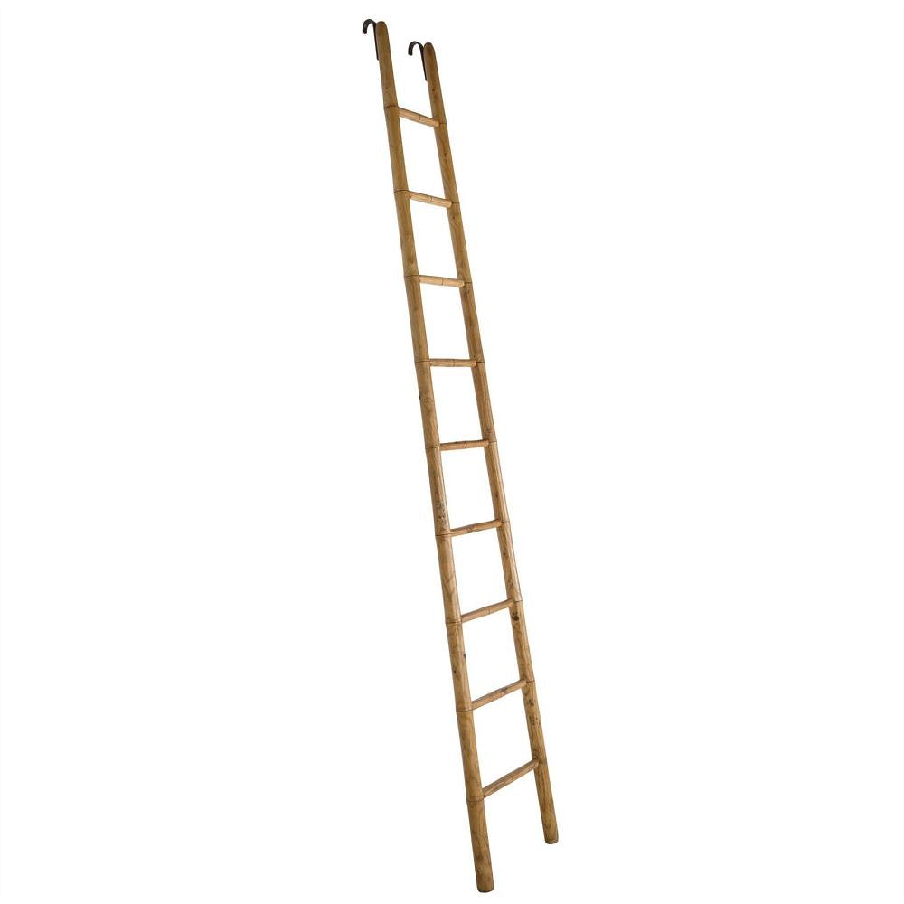 19th Century Ladder OF107805