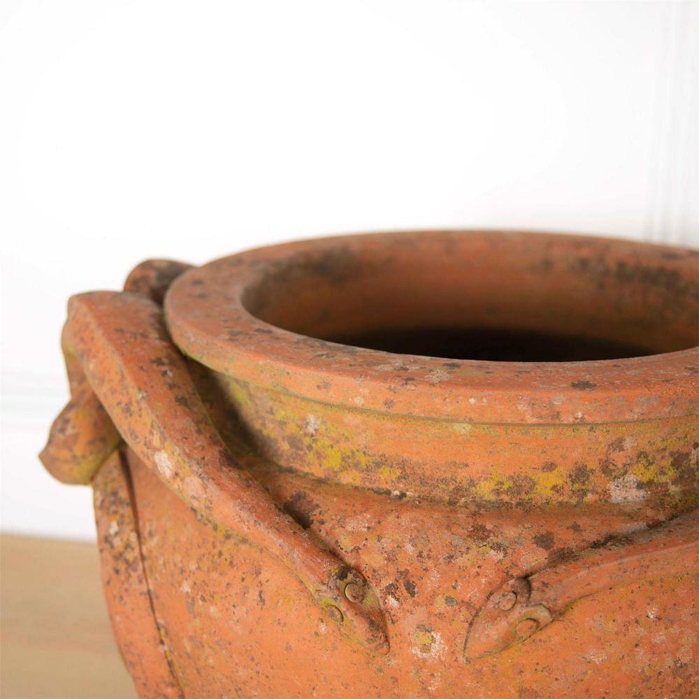 20th Century Terracotta Snake / Cobra Pots DA0961017