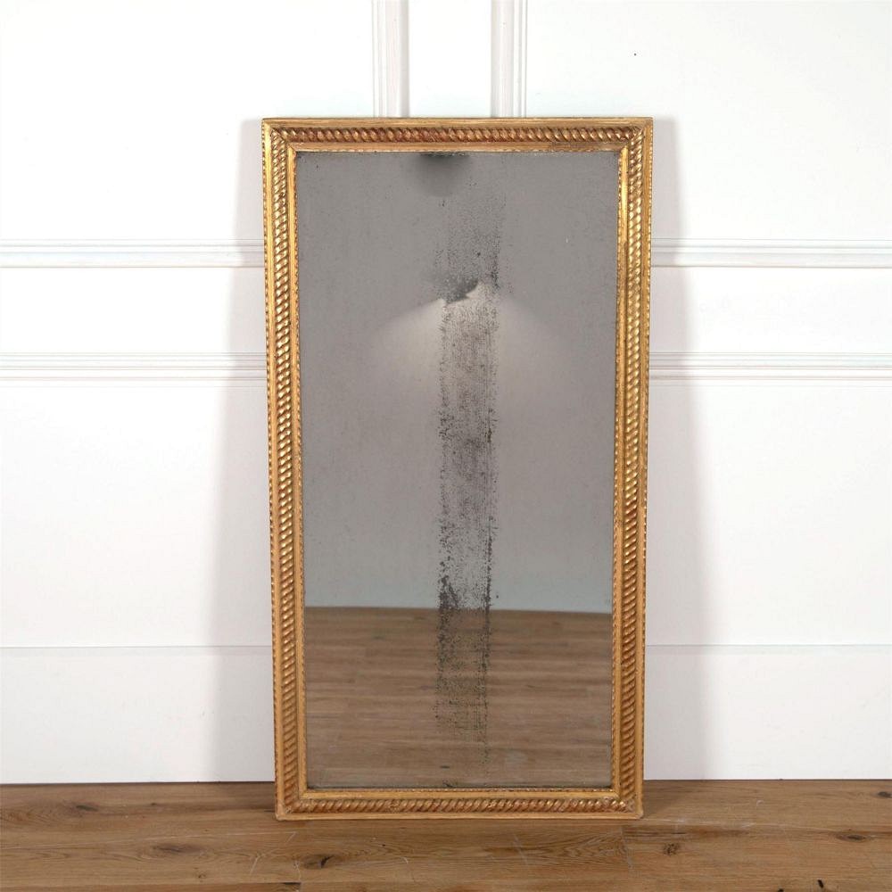 Water Gilded Rope Twist Mirror MI7161449