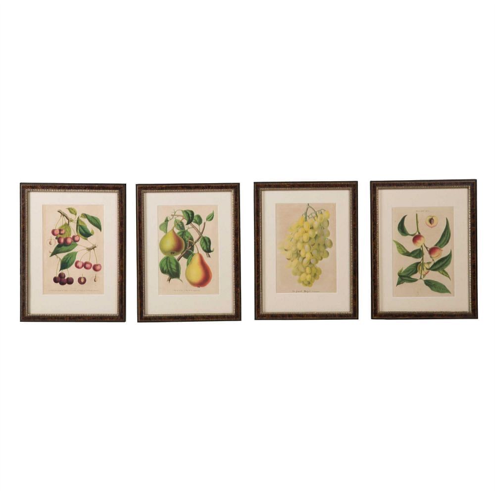 Set of 12 19th Century Fruit Chromolithographs WD6057548