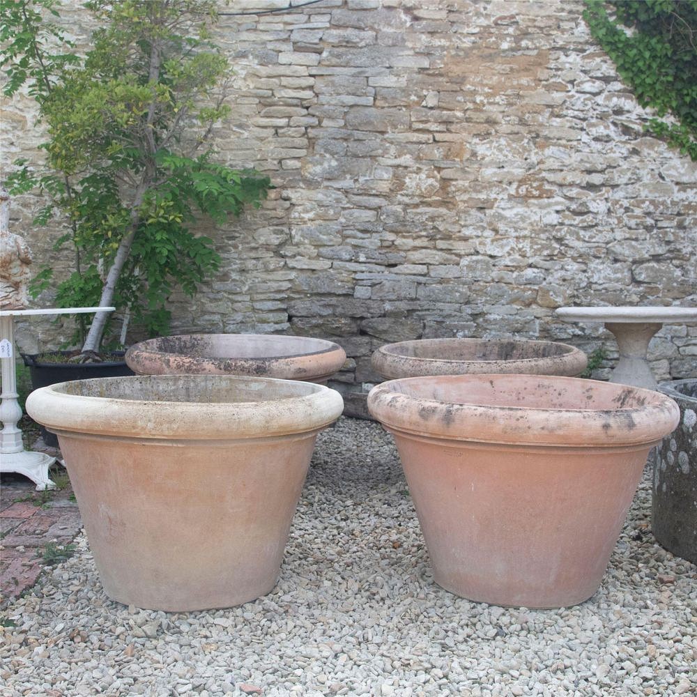 Pair of 20th Century Terracotta Tree Pots GA1961456