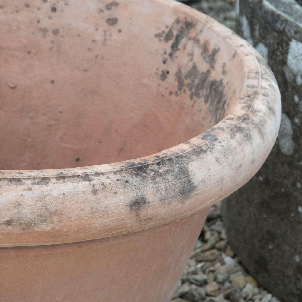 Pair of 20th Century Terracotta Tree Pots GA1961456