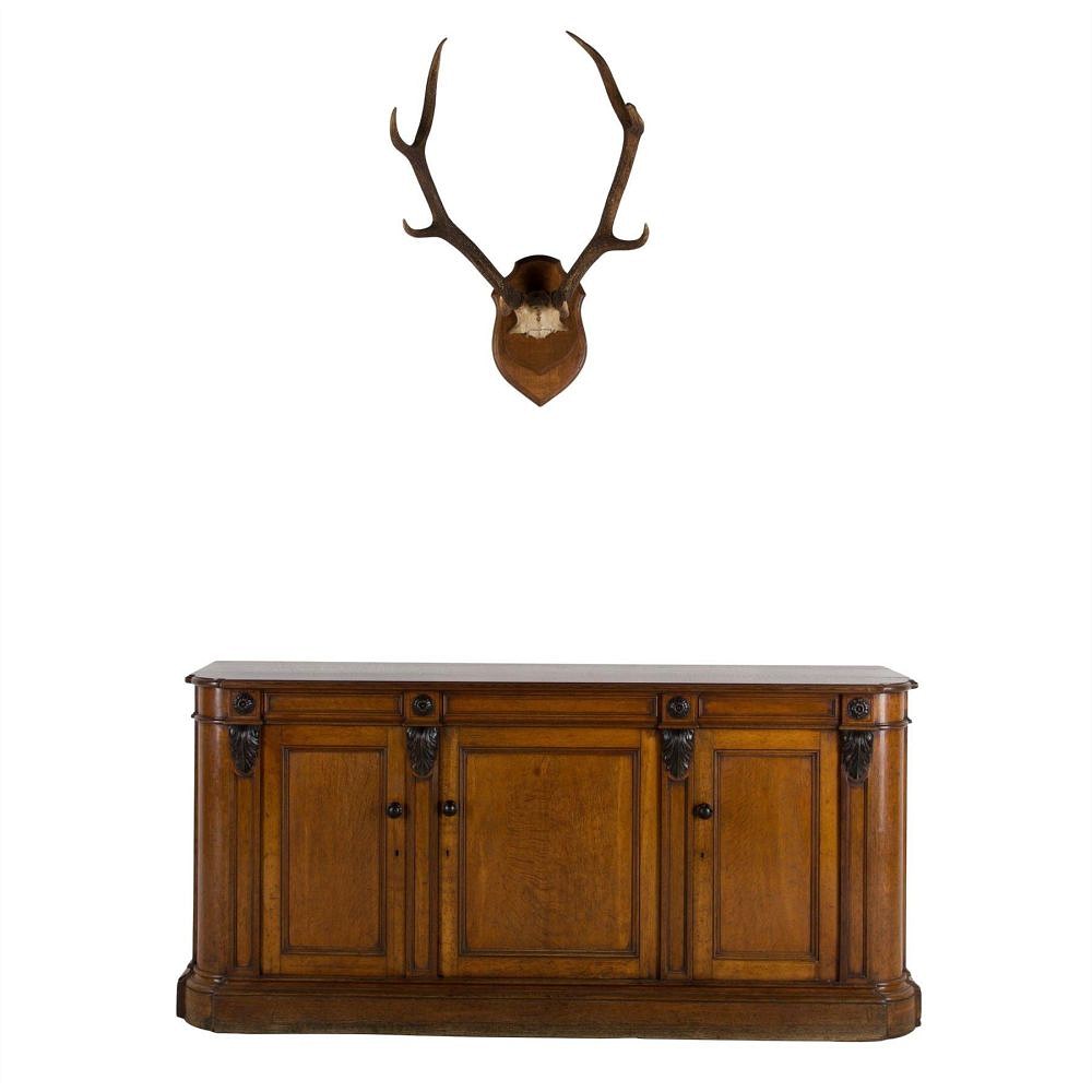 19th Century Antlers DA107501
