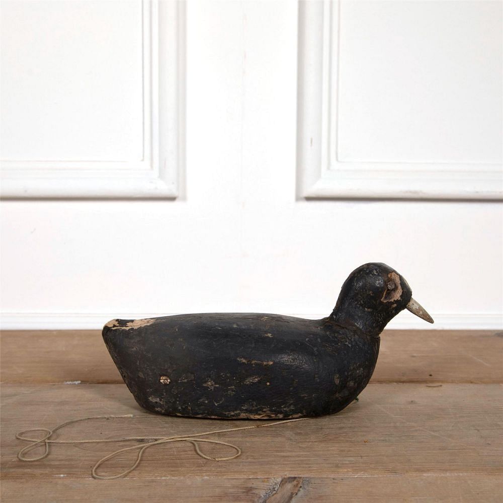Antique Coot Decoy DA1561873
