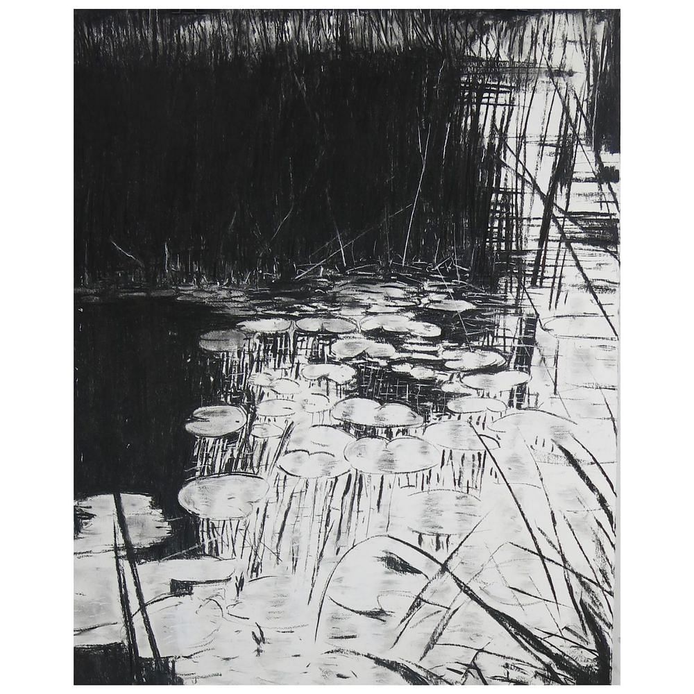 After Atget Nénuphar WD9962461
