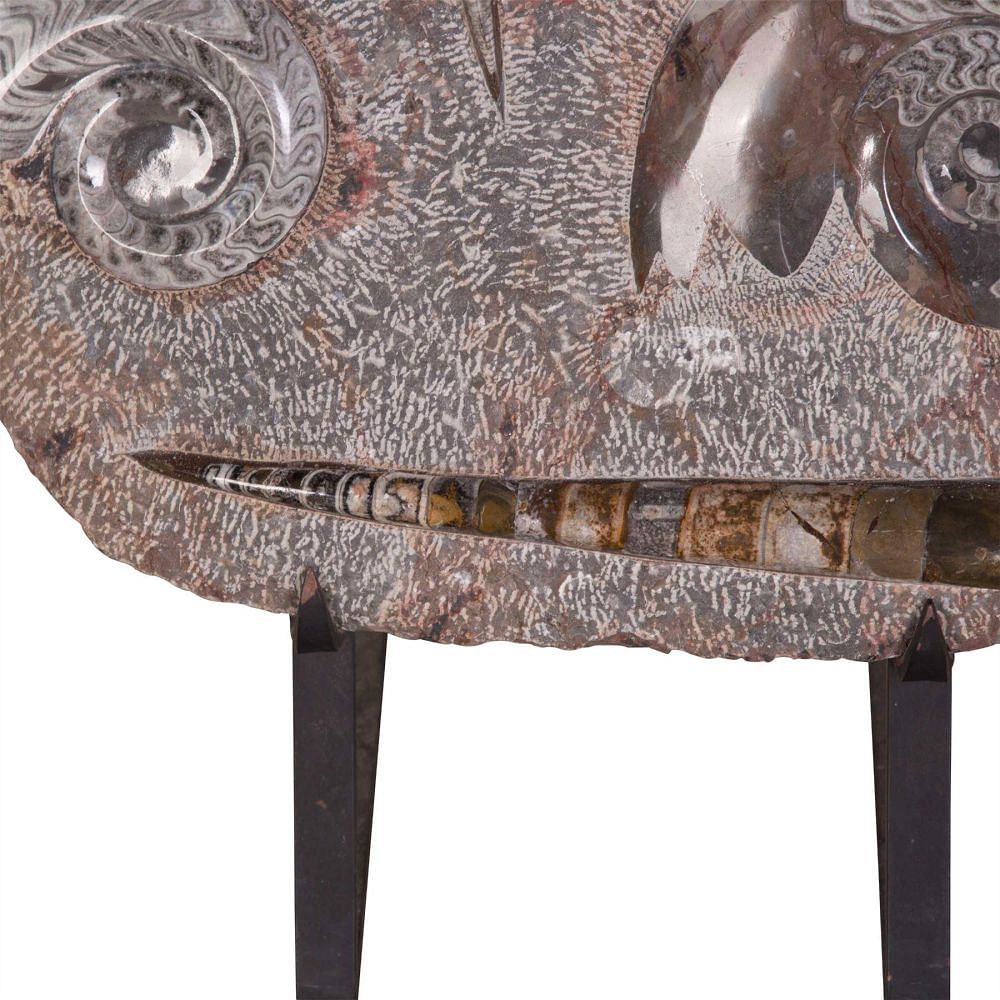 Fossil Sculpture on Stand DA5256167