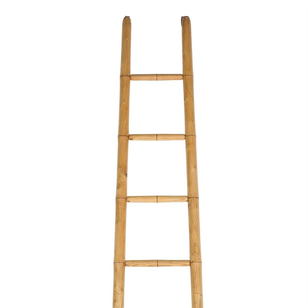 19th Century Ladder OF107805