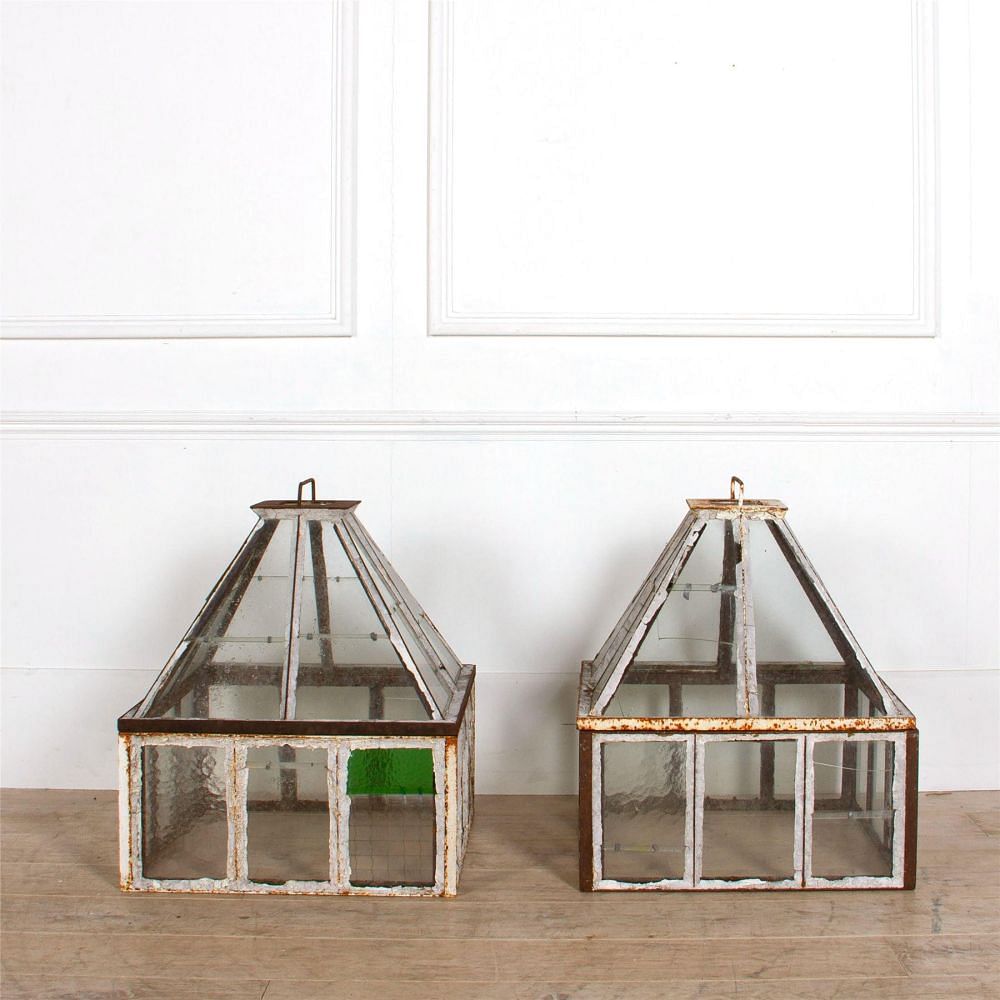 Pair Of Victorian Garden Cloches GA287293