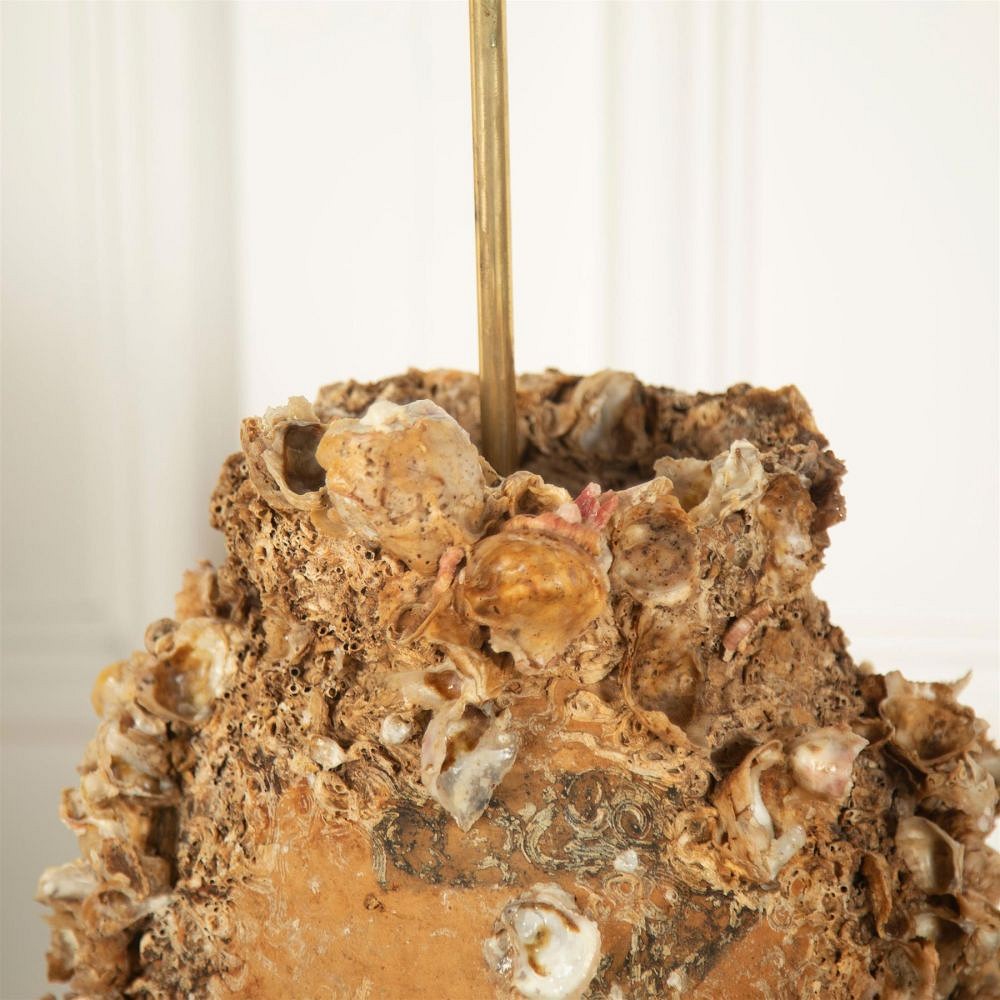 Encrusted Terracotta Octopus Pot Lamp LT217111