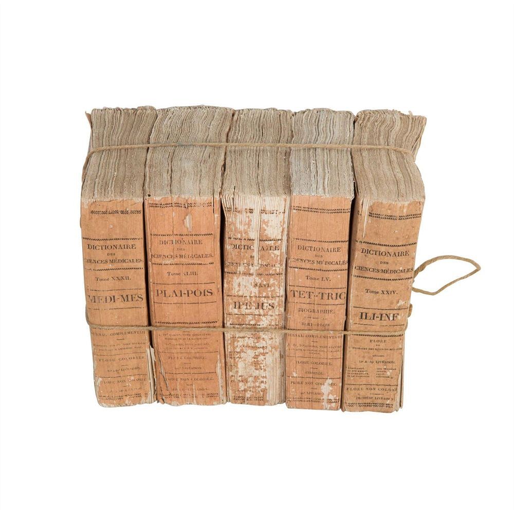 Bundle of French Terracotta Books DA4412890