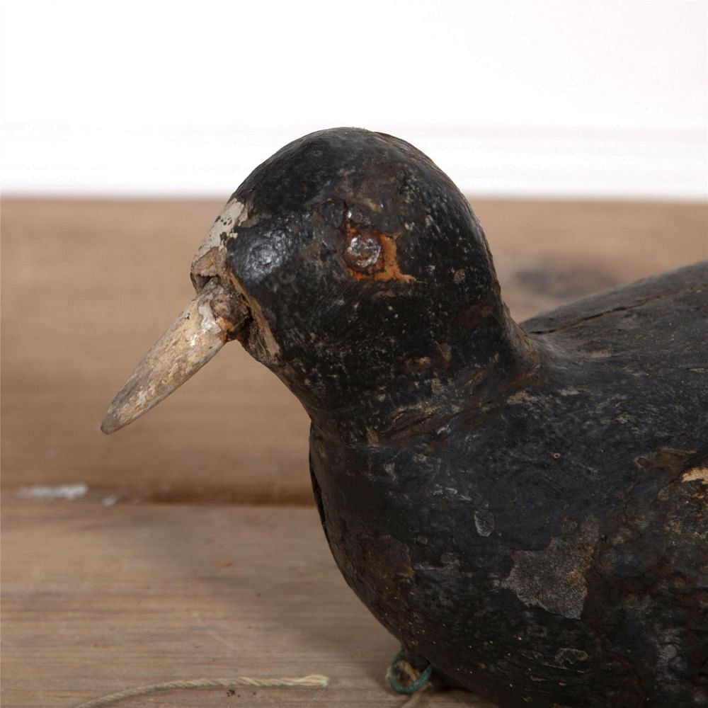 Antique Coot Decoy DA1561873