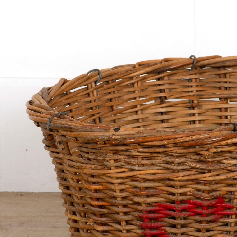 French Champagne Harvest Basket DA287295