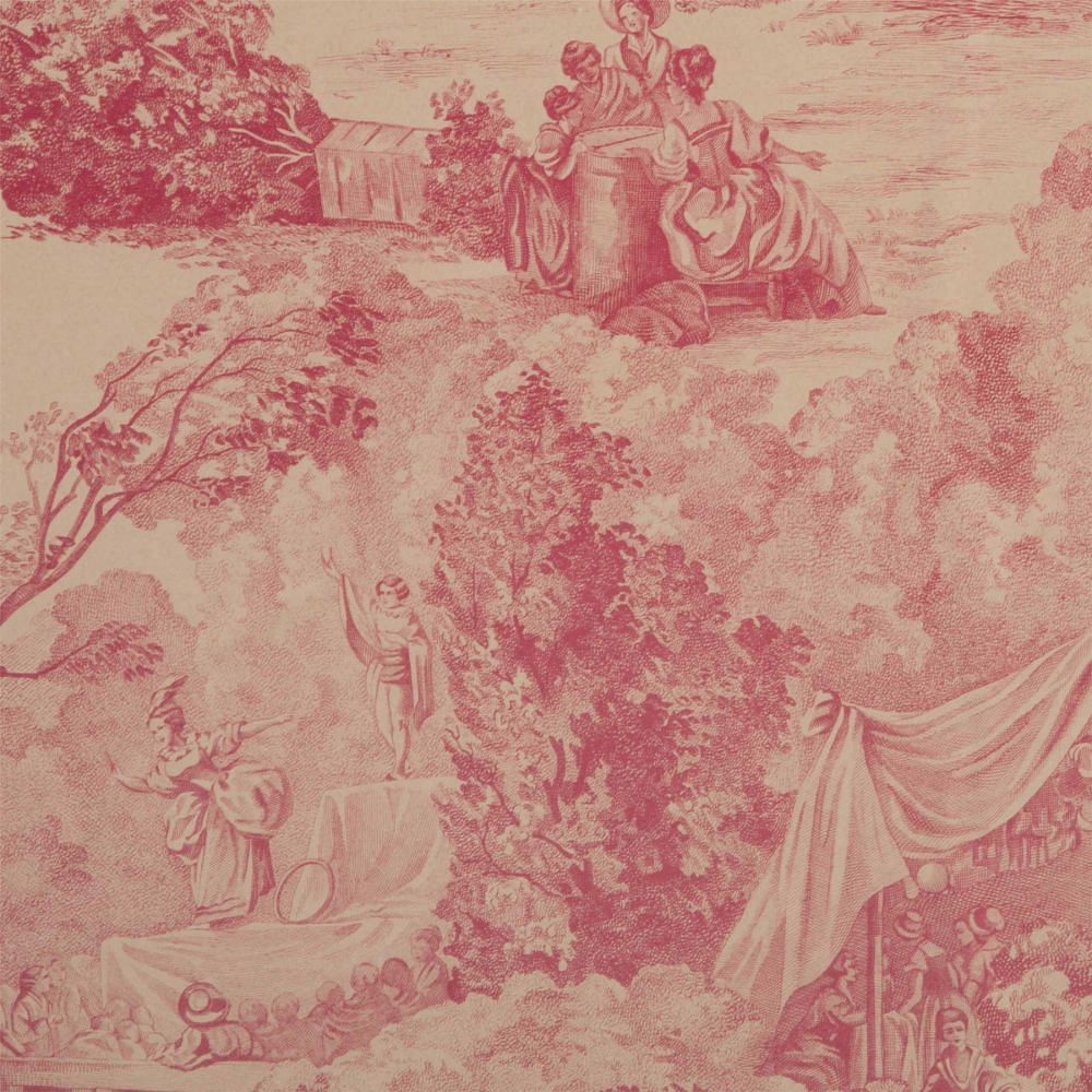 Framed Toile De Jouy Fragment WD9012389