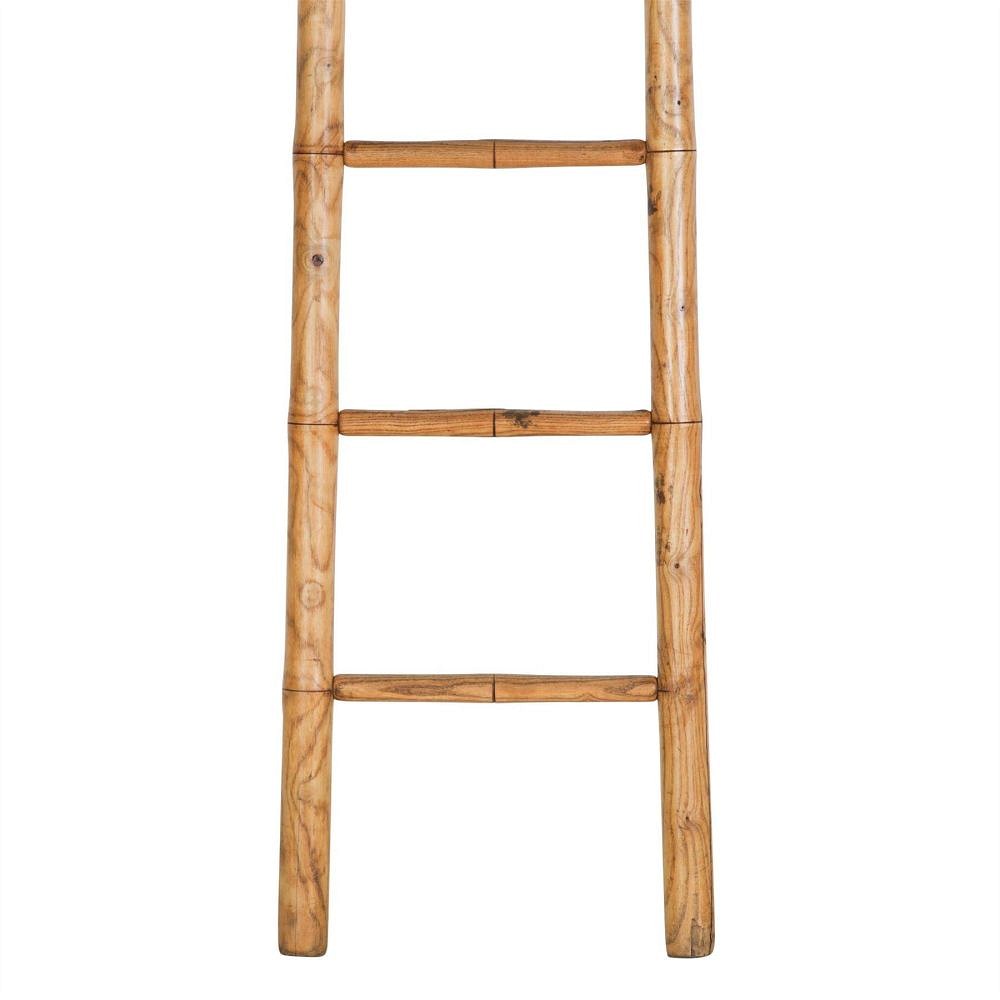 19th Century Ladder OF107805
