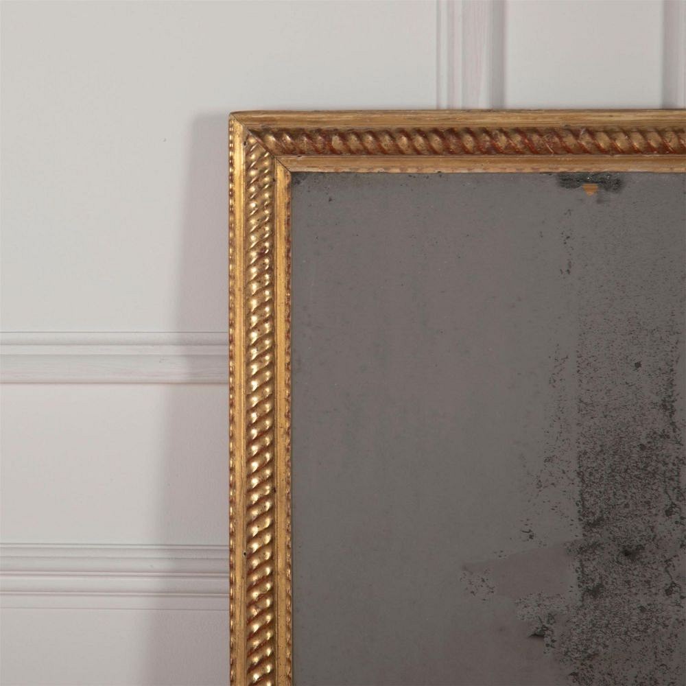 Water Gilded Rope Twist Mirror MI7161449