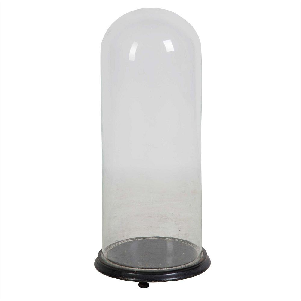 Victorian Glass Taxidermy Dome DA449761
