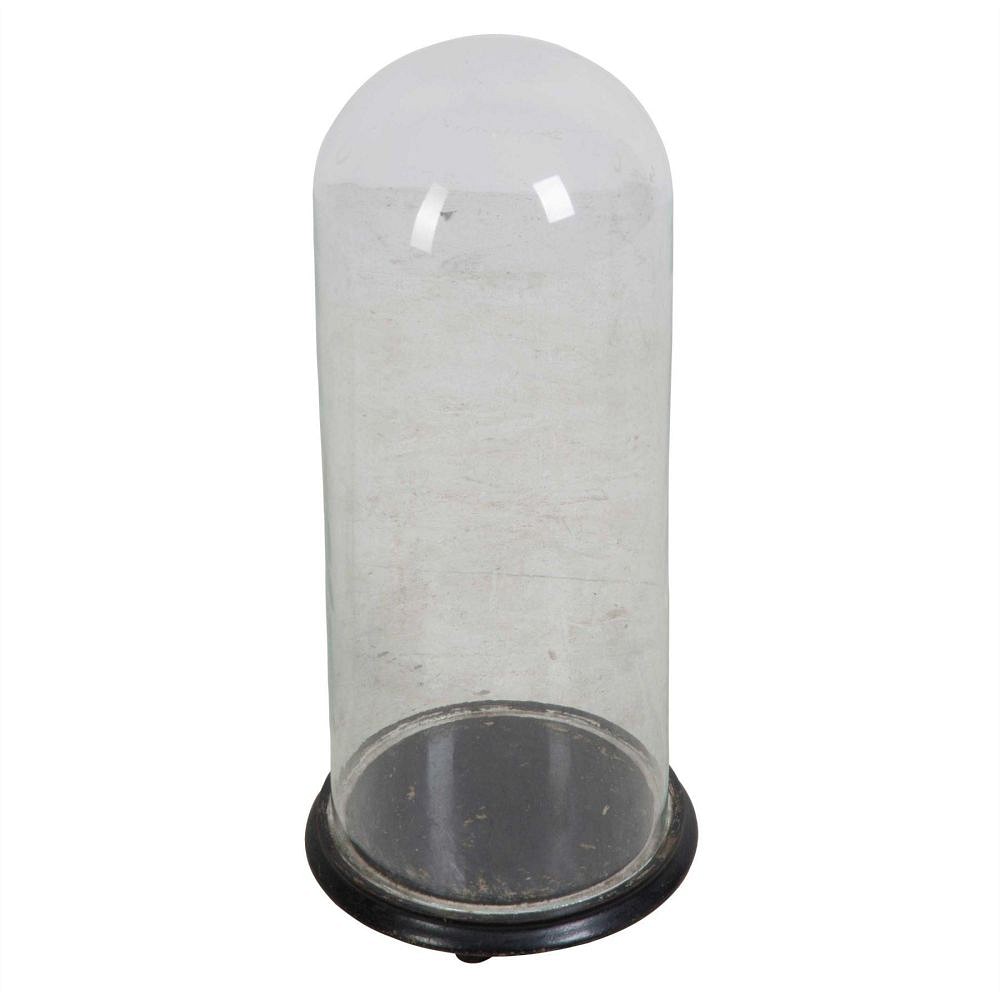 Victorian Glass Taxidermy Dome DA449761