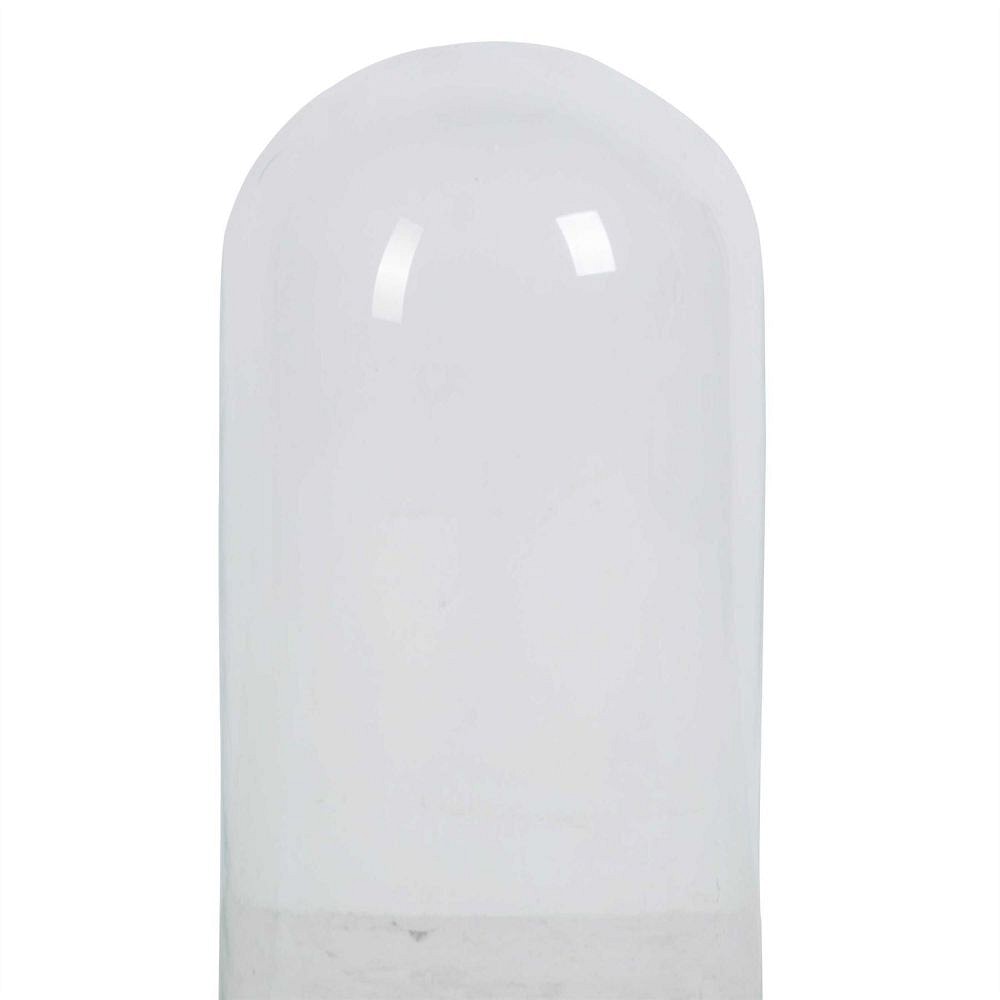 Victorian Glass Taxidermy Dome DA449761