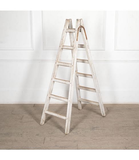 20th Century French Painted Ladder