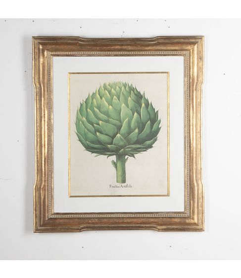 20th Century Print of Basilius Besler Artichoke