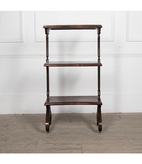 19th Century Rosewood Etagere