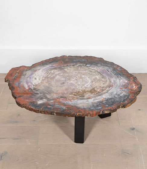 20th Century Petrified Wood Coffee Table
