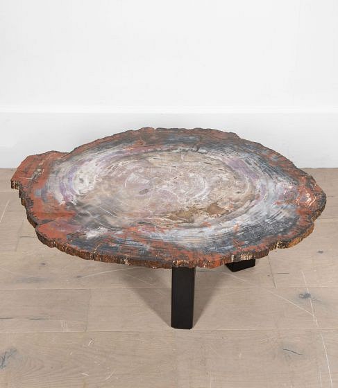 SALE: 20th Century Petrified Wood Coffee Table