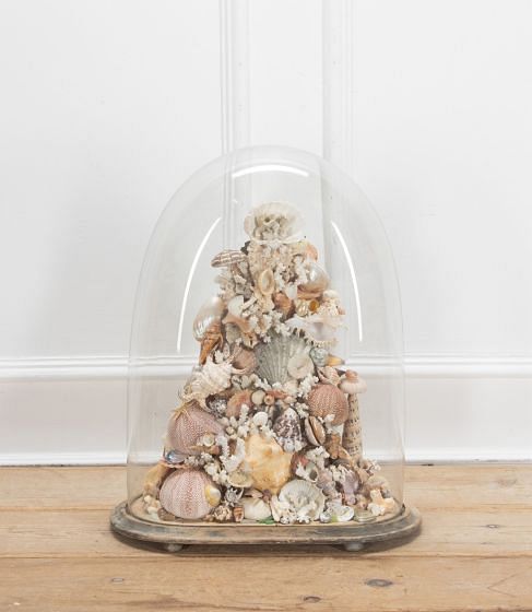 Large Victorian Glass Dome with Seashell Sculpture