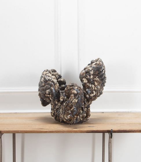 20th Century Swan Mussel Shell Sculpture