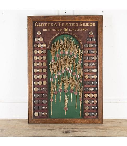 19th Century Carter Tested Seed Wall Display