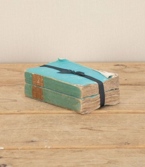Two 19th Century French Books with Blue Paper Covers