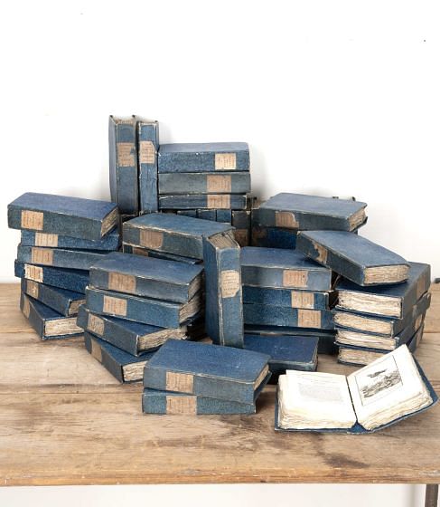 Set of Fifty Late 18th Century French Hard Back 'Histoire Naturelle' Books