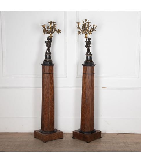 Pair of 19th Century French Bronze Candelabra