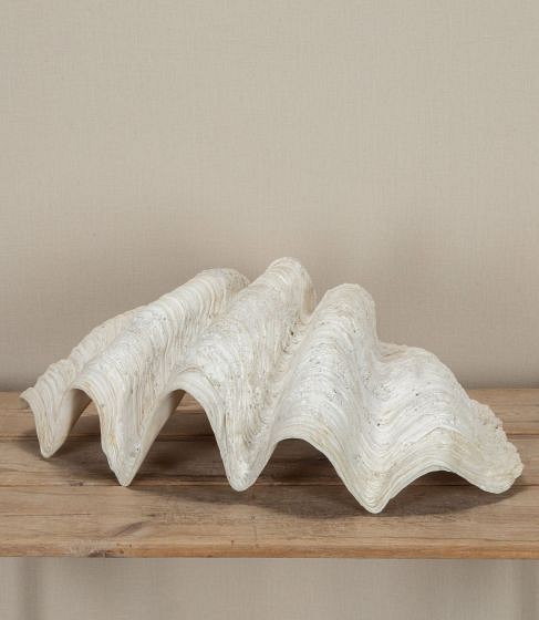 Large 19th Century Indonesian Clam Shell