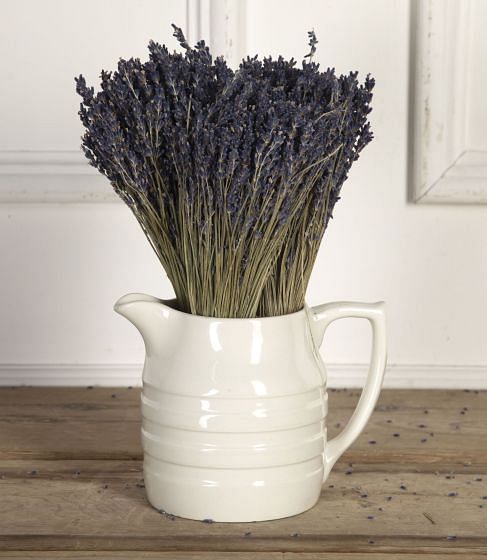 Mid 20th Century Ceramic Jug from Sadler