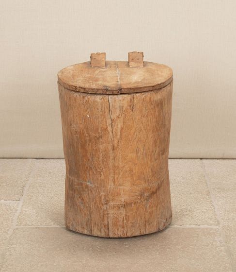 19th Century France Decorative and Natural Trunk with Storage