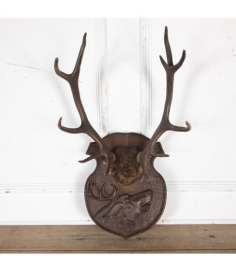 19th Century Antlers Mounted on Carved Shield