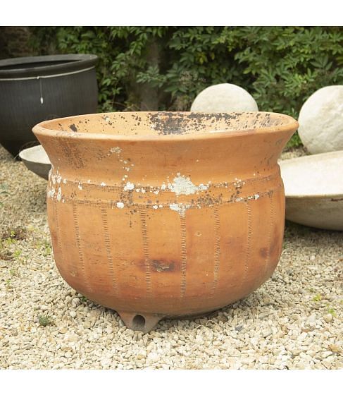 Large 19th Century French Bujadier Terracotta Pot