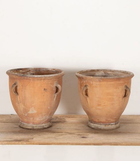 Pair of 19th Century French Terracotta Garden Planters
