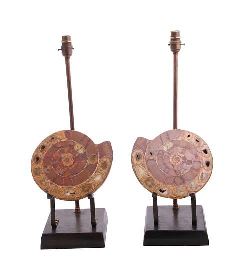 Madagascan Amonites Mounted as Lamps