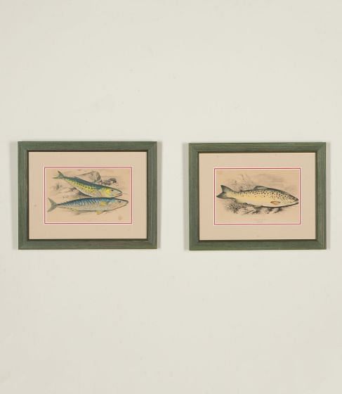 Pair of Early 19th Century Original Hand Coloured Engravings of Fish
