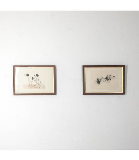Late 19th Century English Pointer Prints