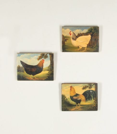 Set of Three 19th Century Oil on Board Paintings of Chickens