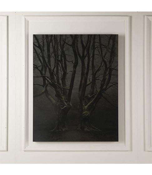 Xteriors IX Desiree Dolron Photograph (1963)